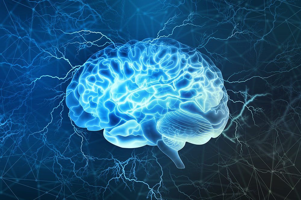 The Secret to Better Focus: Plant-Based Minerals for Mental Clarity