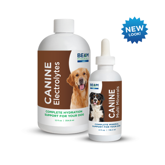 Advanced Canine Mineral and Electrolyte Replenishment Set